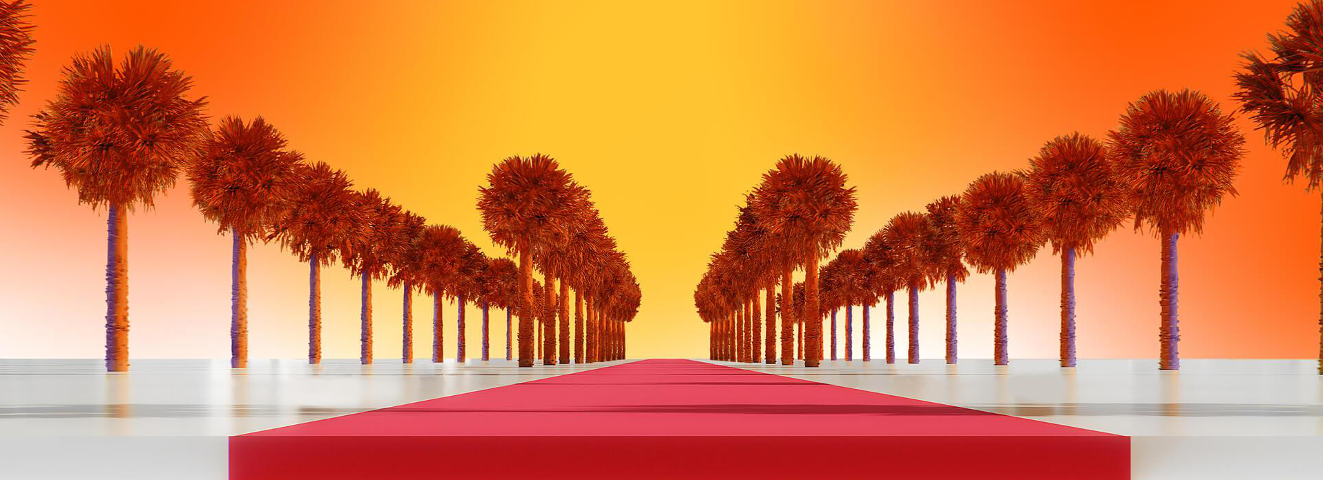 tapis rouge du festival